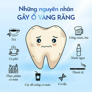 Combo 2 Hộp miếng dán trắng răng Anriea than tre
