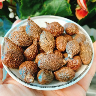 Hạt Đười Ươi Bay Rừng Chuấn 100% 100gr