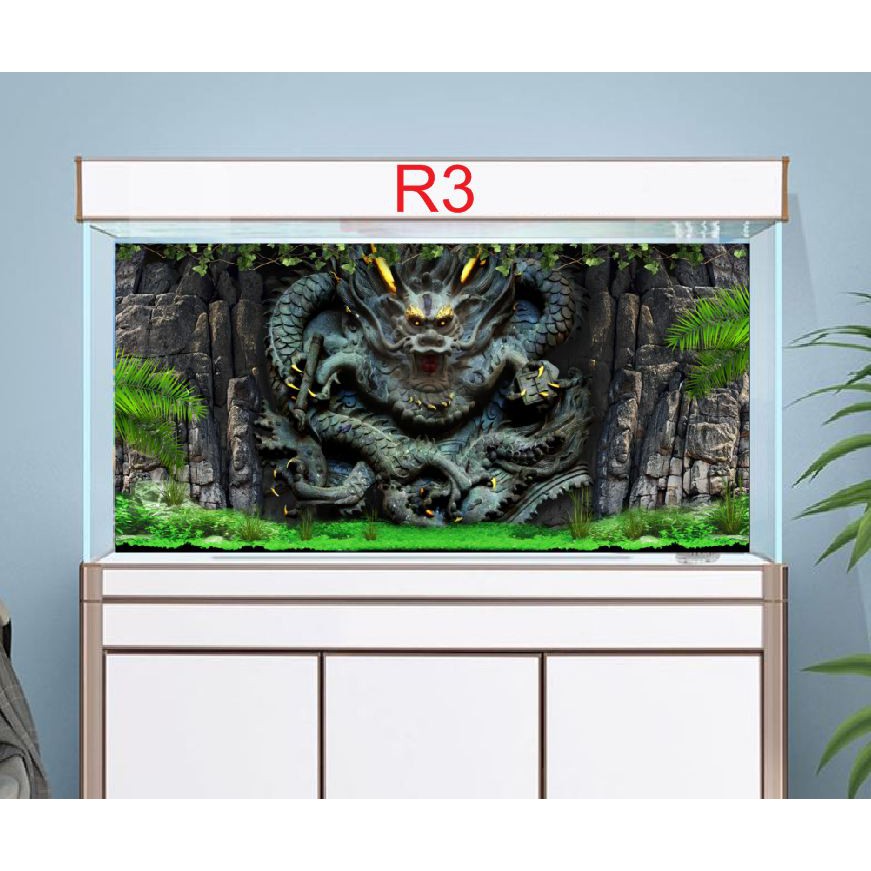 Tranh 3D dán bể cá mẫu rồng R3