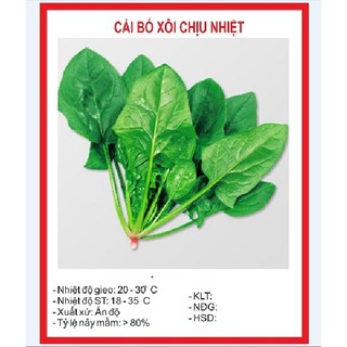 Combo 5 gói hạt giống rau cải ( cái bó xôi + cải ngọt + cải xanh + cải chíp + cải ngòng )