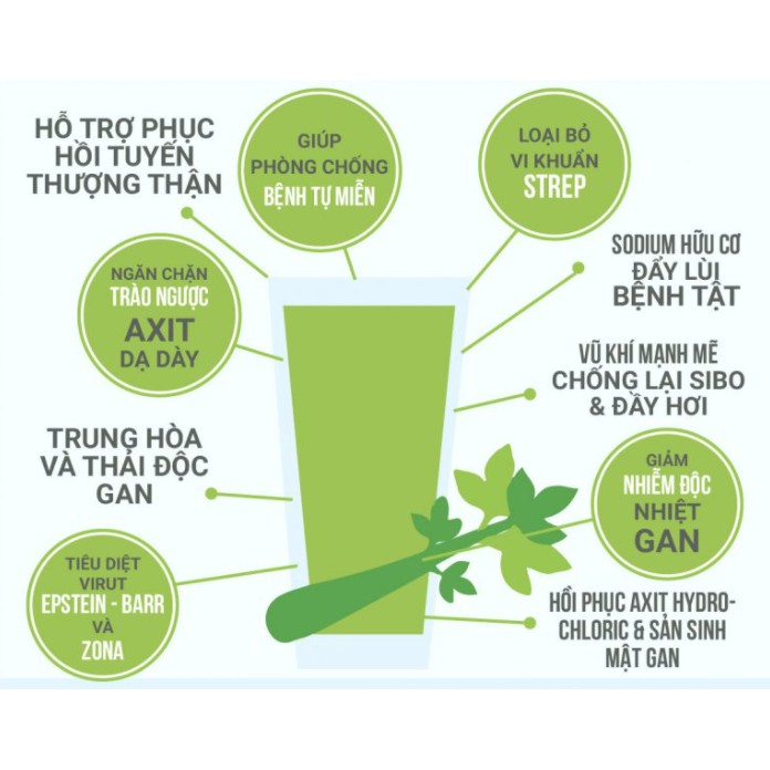 Bột cần tây giảm cân, đep da - tốt cho sức khỏe