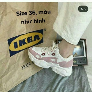 Combo 3 sp giày