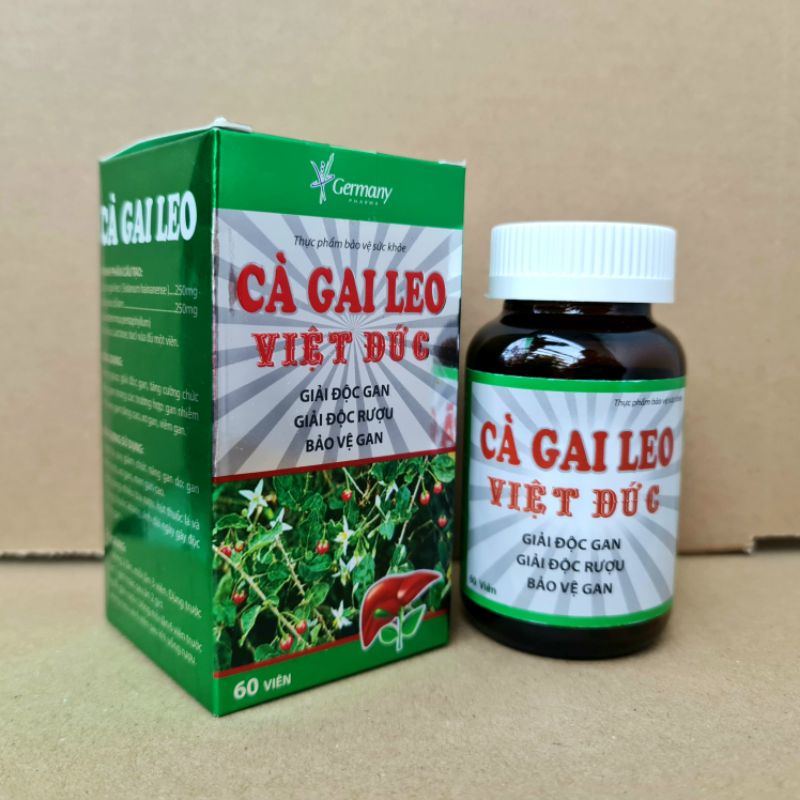 Cà gai leo việt đức, giải độc, mát gan, lợi mật, tăng cường chức năng gan