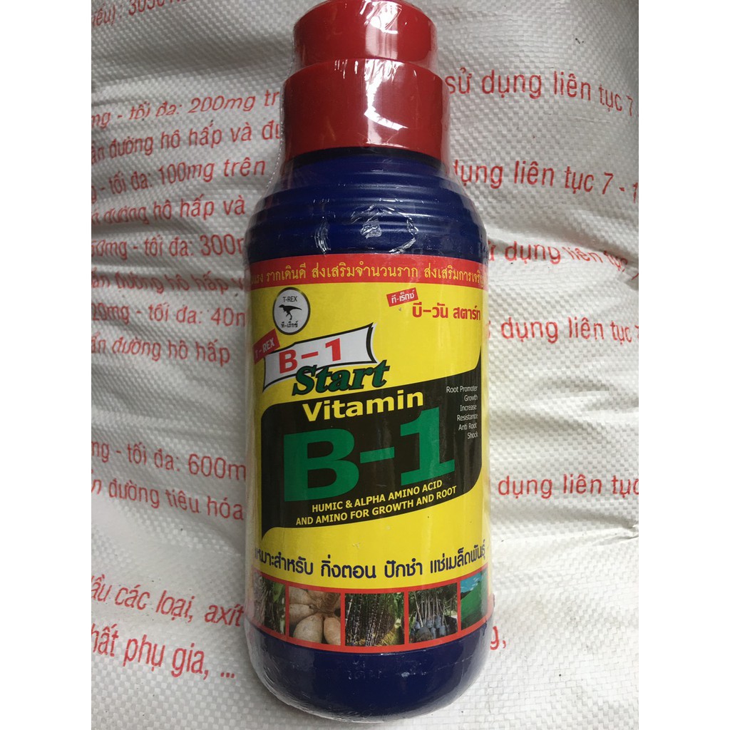 Thuốc kích rễ vitamin B1 star-thái lan 500ml