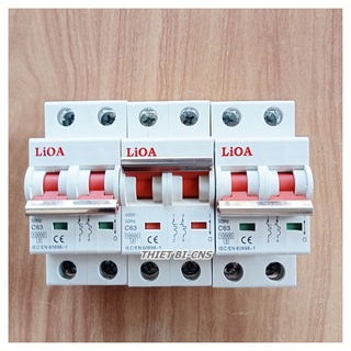 Aptomat - cầu dao 2p 63a - 100a/10ka lioa - chính hãng