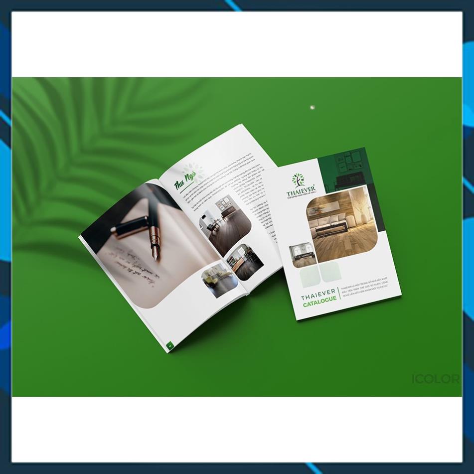 GIẤY IN COUCHE MỜ ĐỊNH LƯỢNG 260GM A3 XẤP 50 TỜ