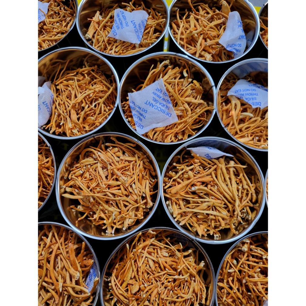 [30g] Nấm Đông trùng hạ thảo Cordypharm Đóng hộp thiếc (Theo đề tài cấp nhà nước)