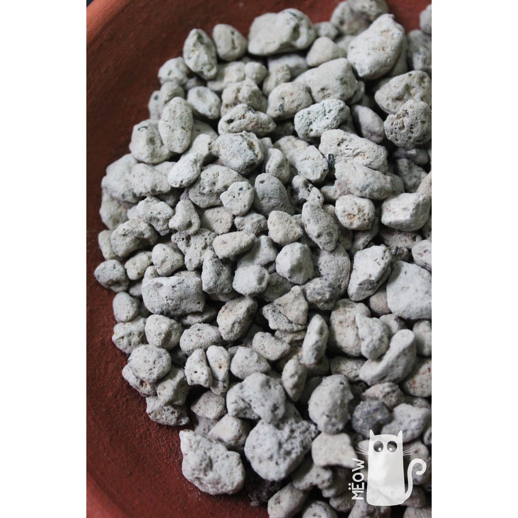 Đá bọt Nostiplant PUMICE nhập khẩu Indonesia | Cực tốt cho sen đá, xương rồng, kiểng lá