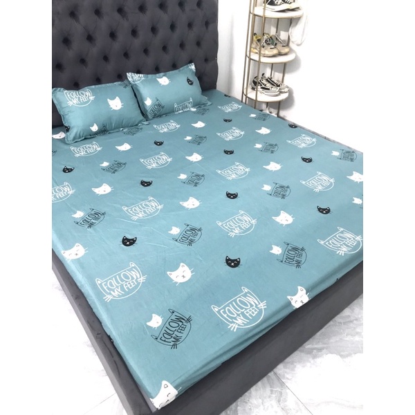 bộ ga gối,drap gối,set ga chun poly giá rẻ,bền,đẹp | BigBuy360 - bigbuy360.vn