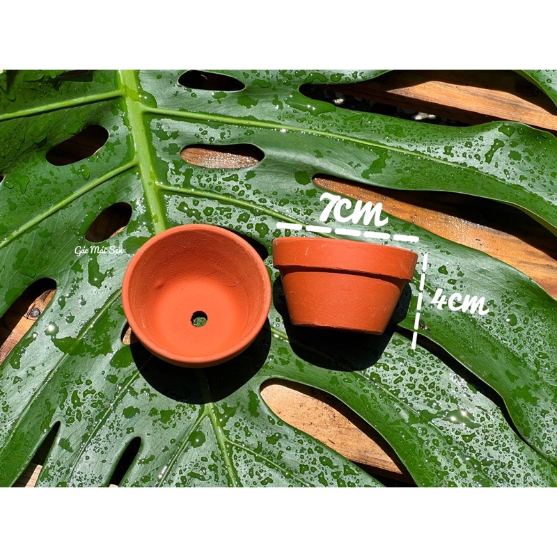 Chậu đất nung lùn nhà Gác Mái Sen - chậu trồng sen đá, cây cảnh mini