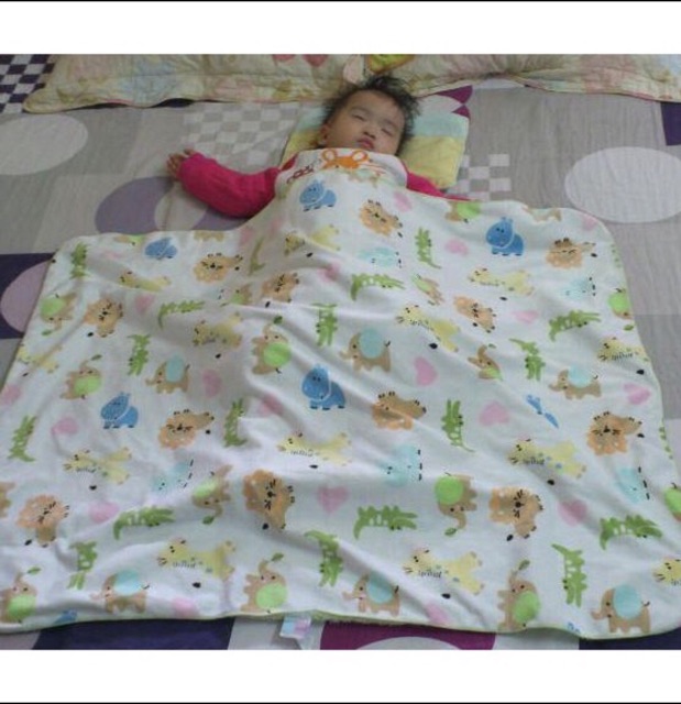 Combo 2 chăn lót lông cừu 2 lớp