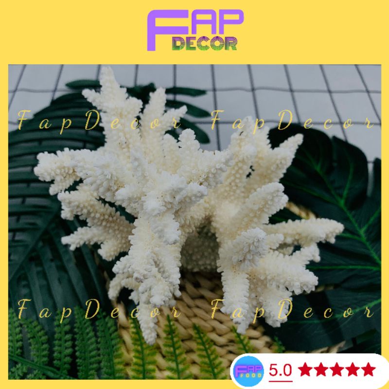 Bông San Hô Biển Thiên Nhiên, Bông Rạn Dạng Nhánh To Trang Trí Hồ Cá Decor Phòng - FapFood