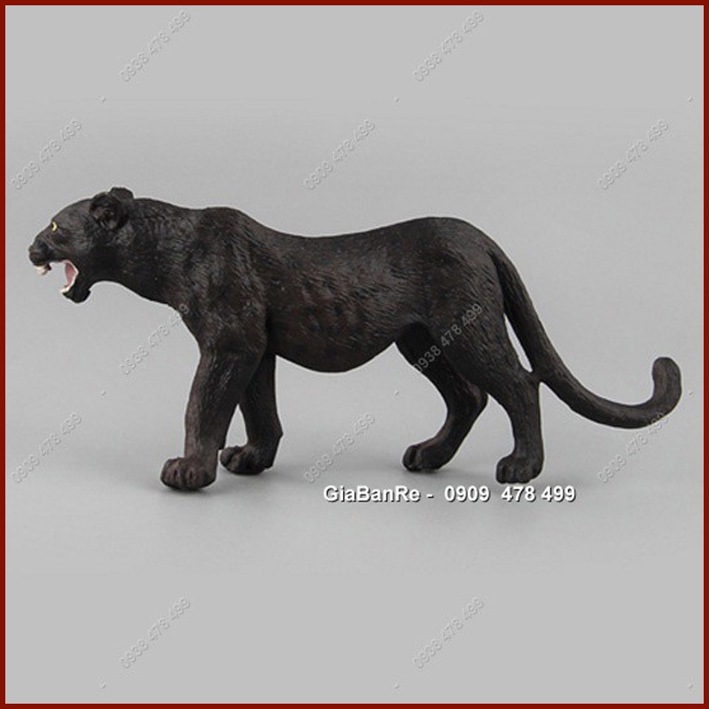  Black panther animal cute Collection of cute black panther photos and videos