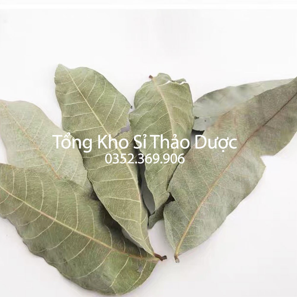 Lá ổi khô giảm cân 500g (Lá ổi non, đọt ổi non phơi khô)