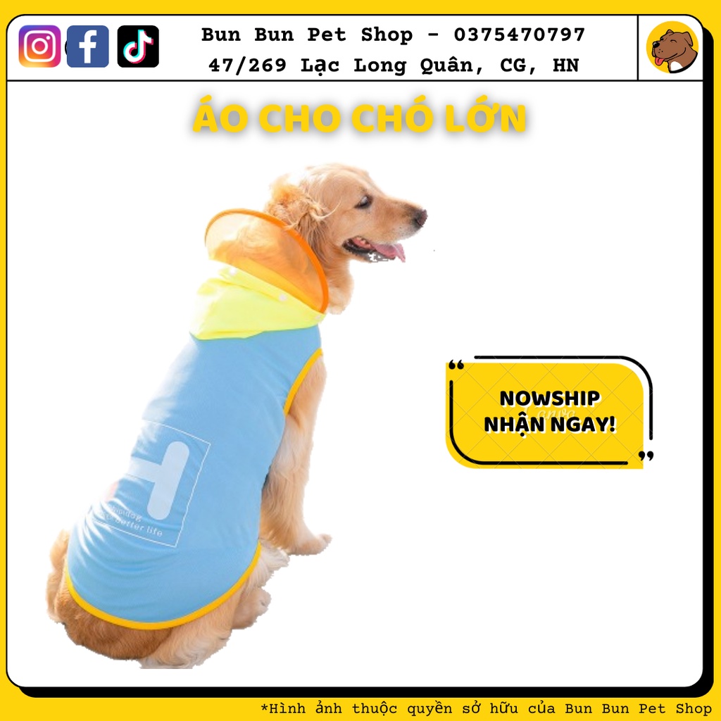 Áo chó lớn có mũ cún miu/ chó mèo