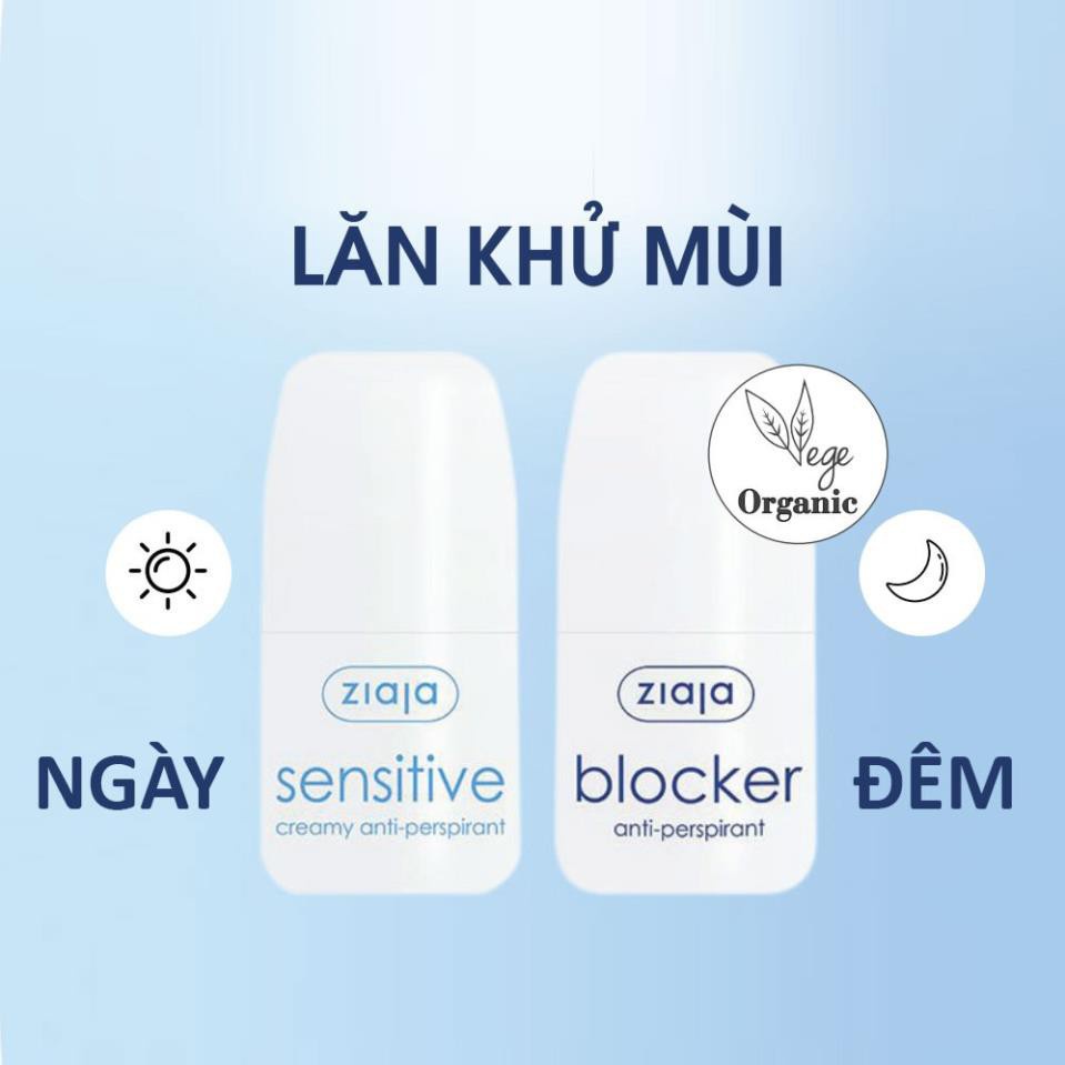 Lăn Khử Mùi Ziaja For Men + Ziaja Anty - Perspriant 60ml