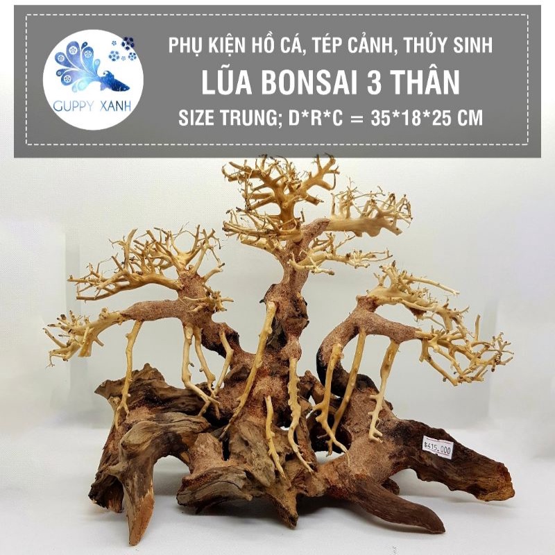 lũa bonsai cho hồ thủy sinh - có nhiều mẫu và dang cho việc set up hồ thủy sinh
