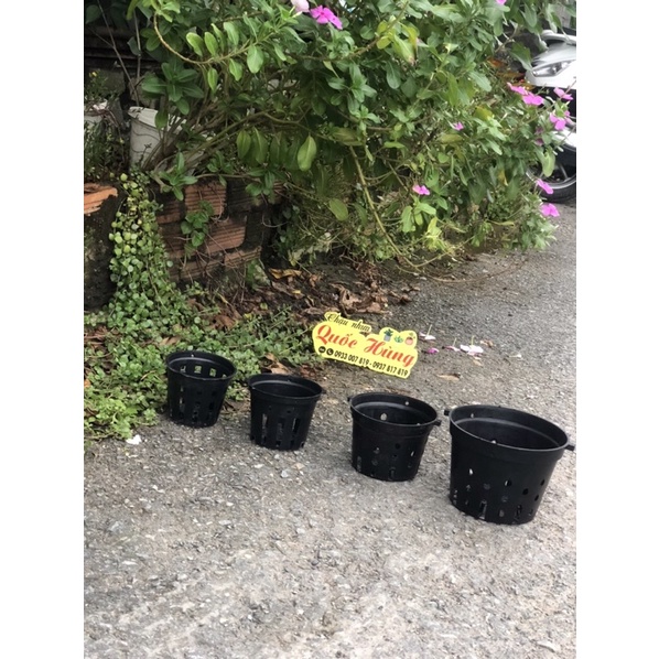 Chậu trồng lan Đen phi 12cm/14cm/16cm/18cm/21cm