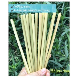 Ống hút cỏ bàng B&B size nhỏ (100 ống)