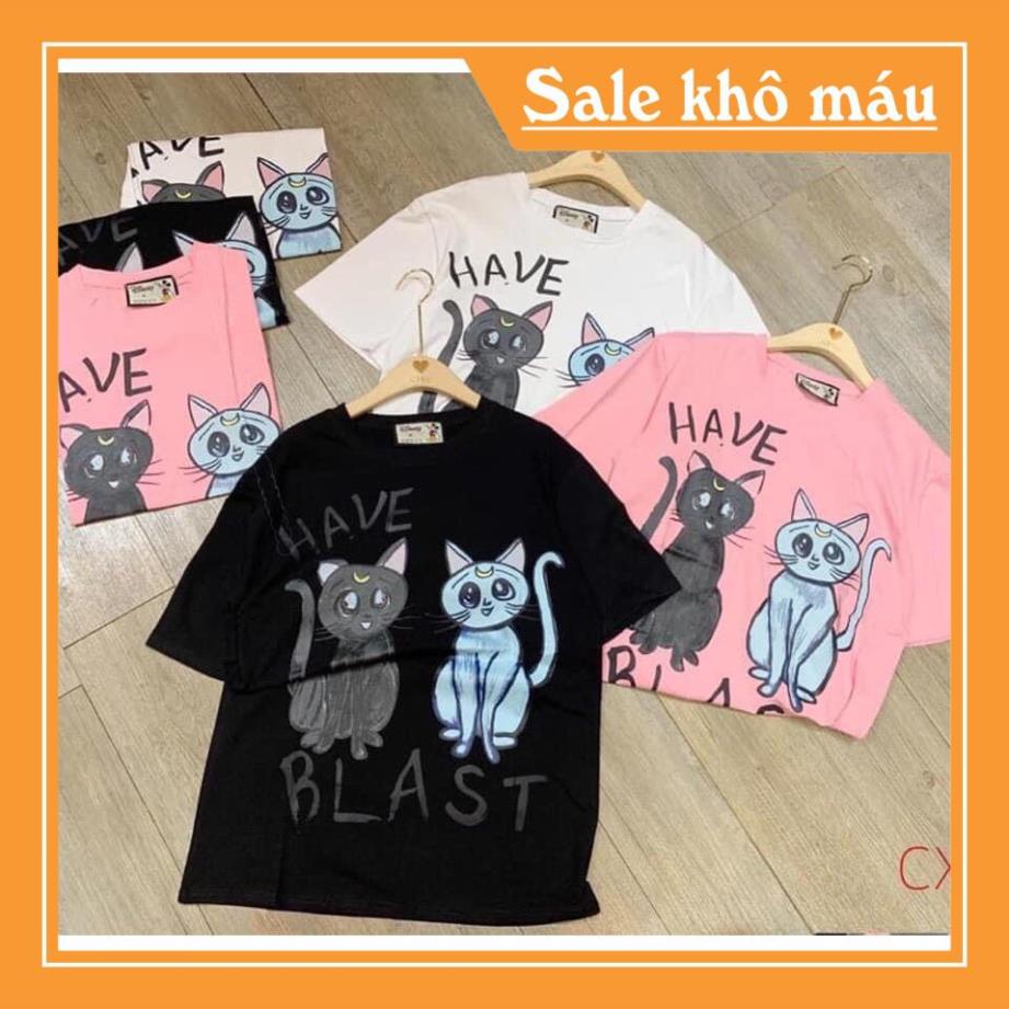 Áo Phông Nữ Hình Mèo 3D , Cộc Tay Cotton Túi Zip 3 Màu Q018