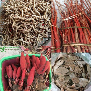 Combo 4 món sâm cau dâm dương hoắc ba kích nấm ngọc cẩu tổng 1kg
