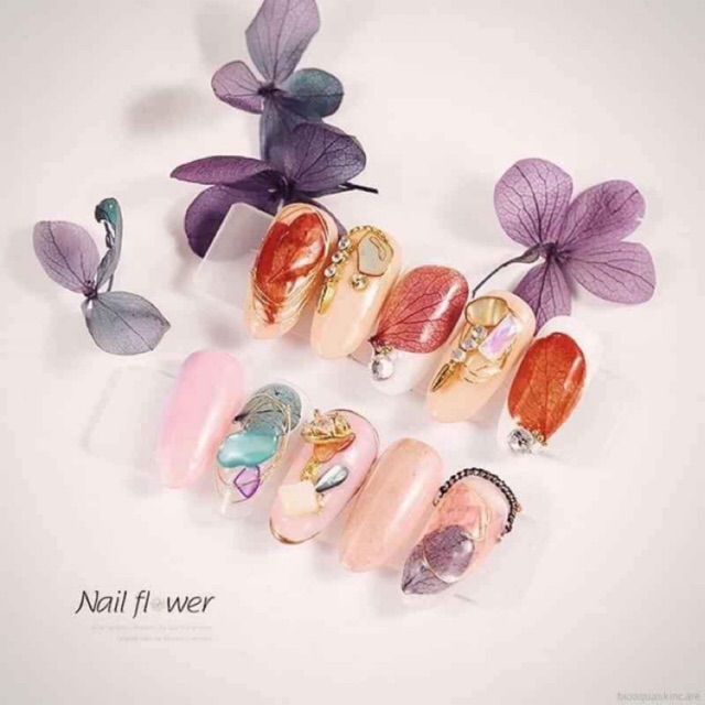 Sét hoa khô nhiều màu