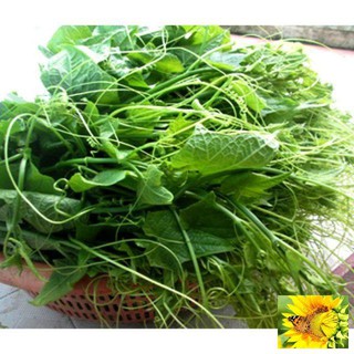 Hạt giống Bí Siêu Ngọn 10gram