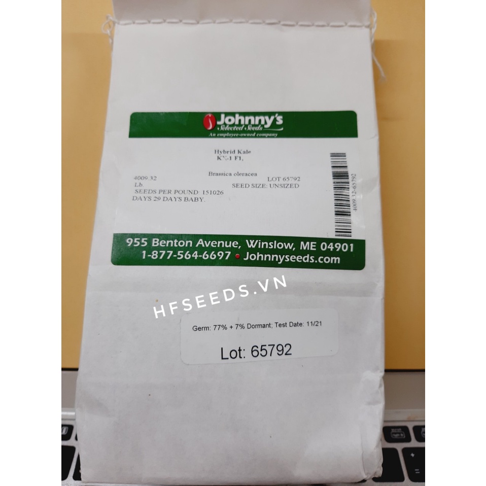 GÓI 100 hạt giống cải kale KX-1 - MỖI NGƯỜI 1 PHẦN