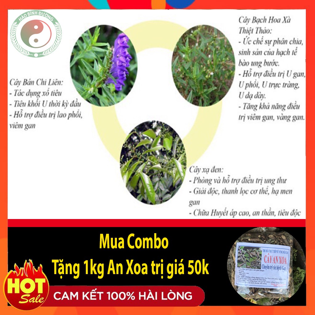 Combo 1Kg Xạ Đen+1Kg Bán Chi Liên+1Kg Bạch Hoa Xà