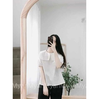 Rập giấy LL012 - Áo Tiểu thư Cổ sen đại