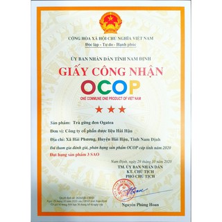 Trà túi lọc Gừng đen Ogatea