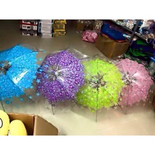 Combo 2c chỉ 100k ô hoa