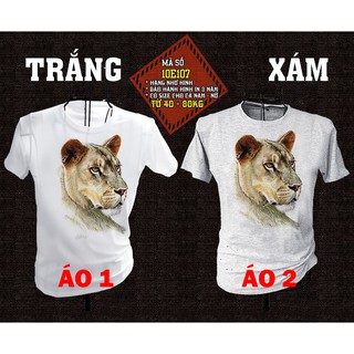 Áo thun nam nữ 3D - PH11