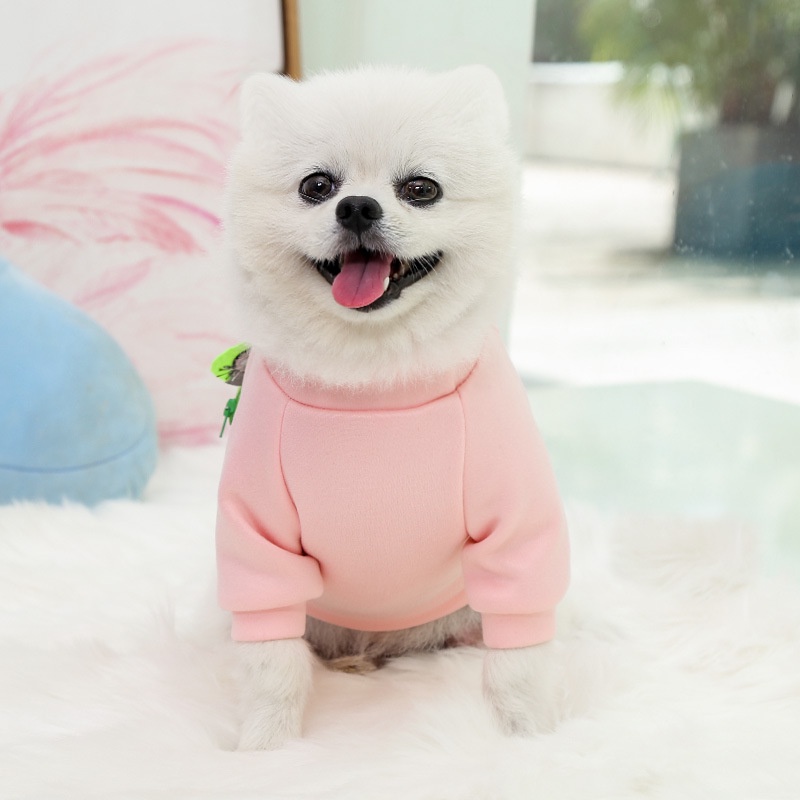 Quần áo thú cưng thời trang cho chó mèo size lớn nhỏ mặc mùa đông đón Noel Tết Giang Sinh giá rẻ  KÈM TÚI ĐỰNG CANDYPETS