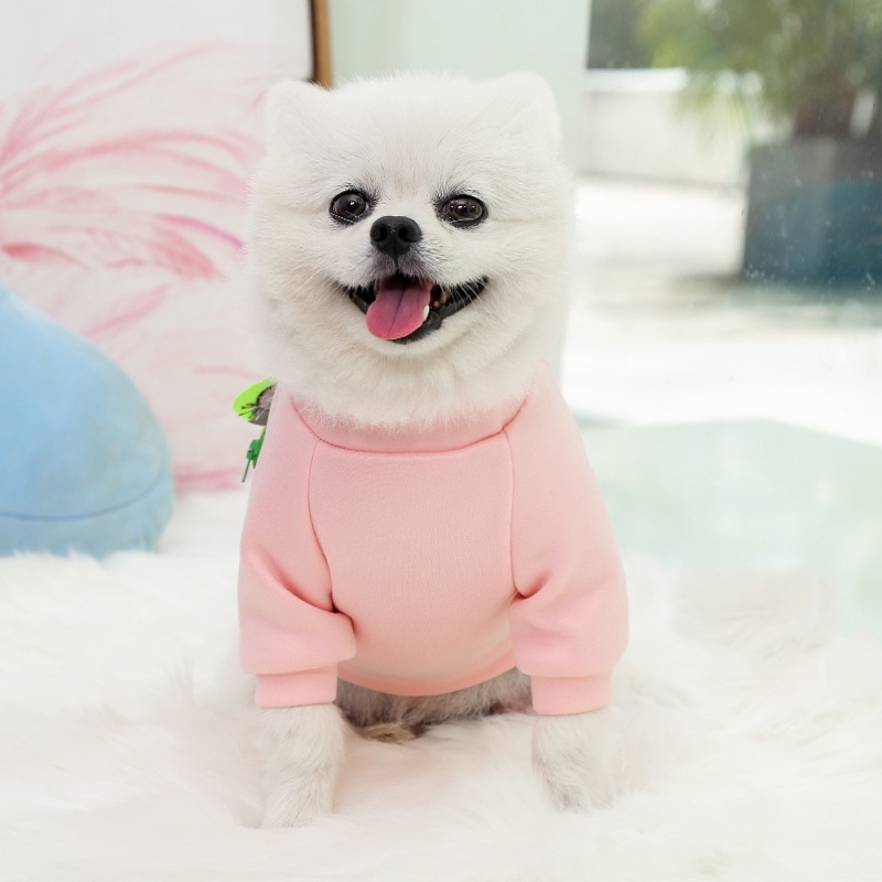 Áo Sweater Giữ Ấm Mùa Đông Có Túi Đeo Chéo Dành Cho Thú Cưng