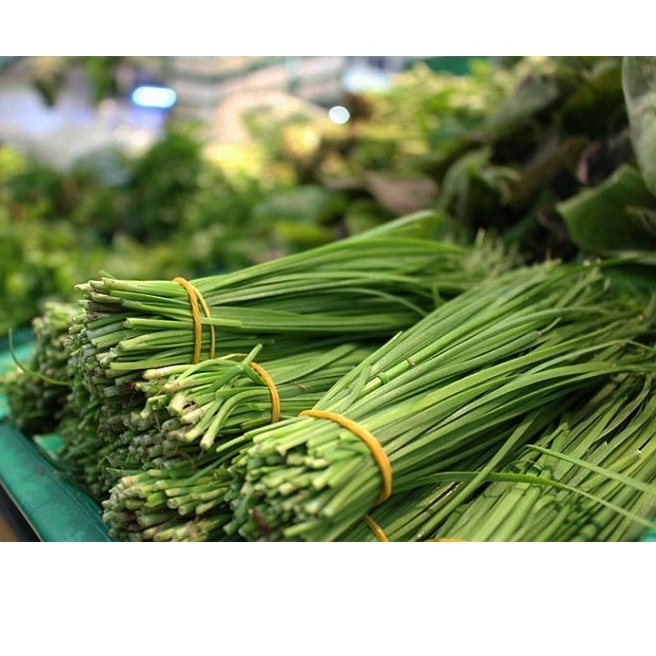 Hạt giống hẹ - rau củ quả trồng chậu, sân vườn ban công giòn ngọt nảy mầm cao 1gr RADO83