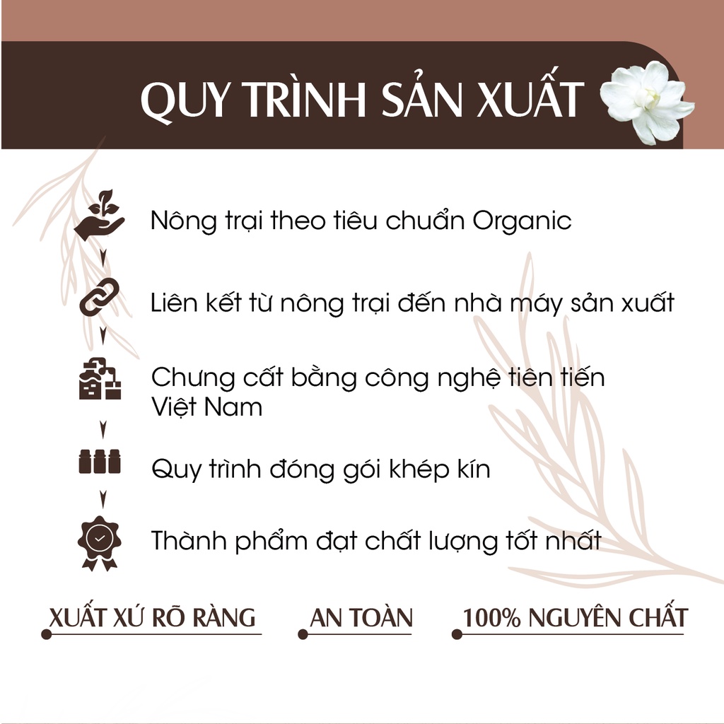 combo 3 xịt quế 24Care 50ml/chai