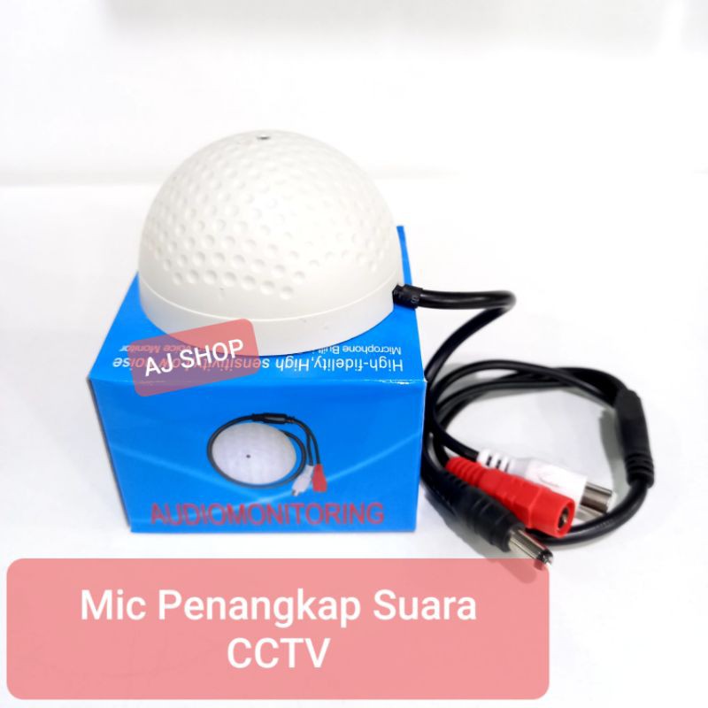 Máy Ghi Âm Giọng Nói Có Mic Cctv