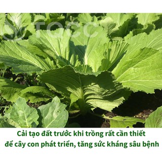 Phân trùn quế  cải tạo đất Vermiland 2kg