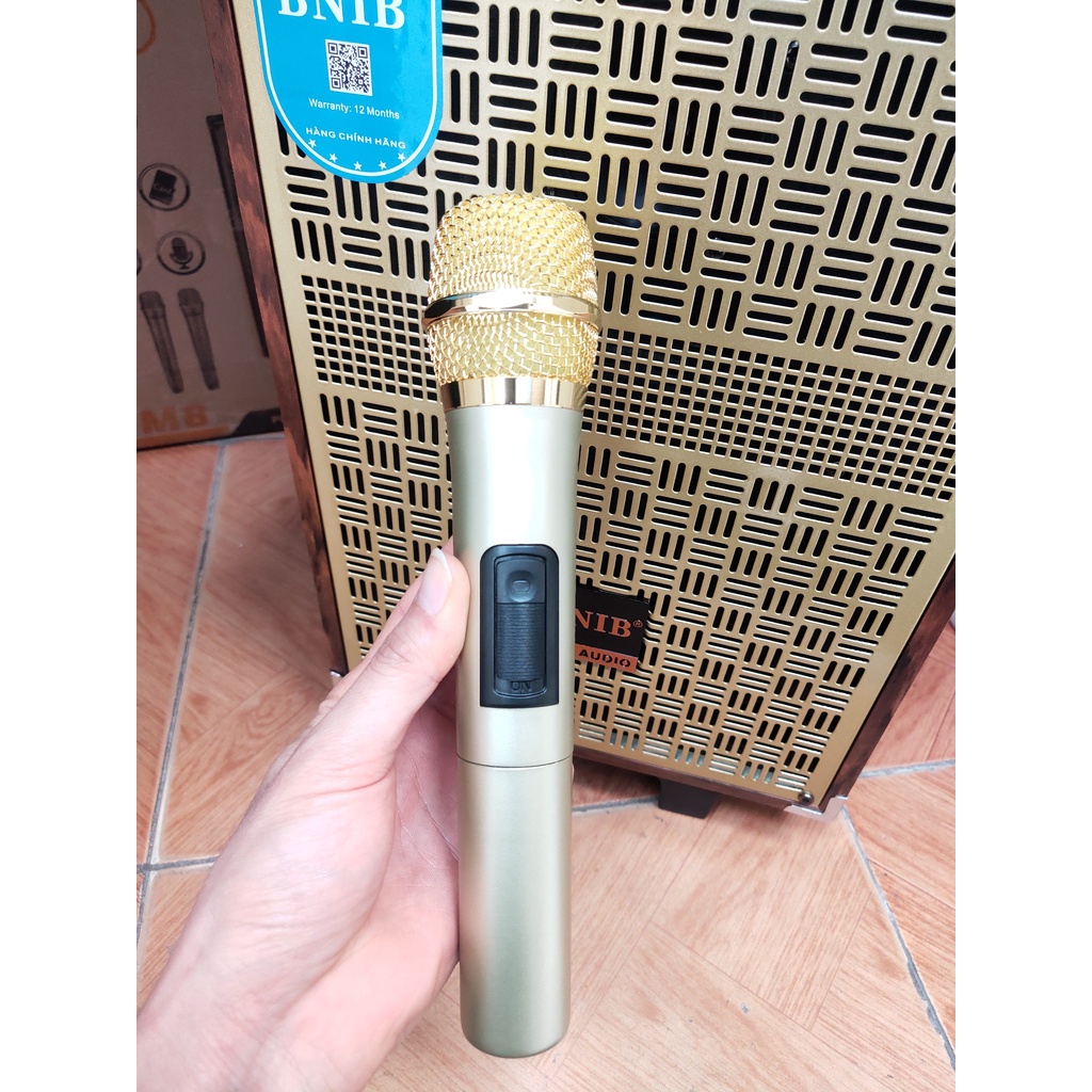 Loa kéo karaoke bas 20 thùng gỗ 2 tay míc nghe hát cực chất