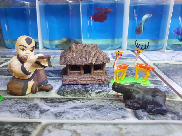 COMBO TRANG TRÍ HỒ CÁ NON BỘ SIZE 6CM 117K