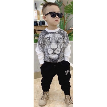 Bộ hổ dài  tay da cá tàu bé trai Size đại
