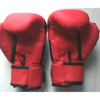 Găng boxing Fairtex 10 Oz