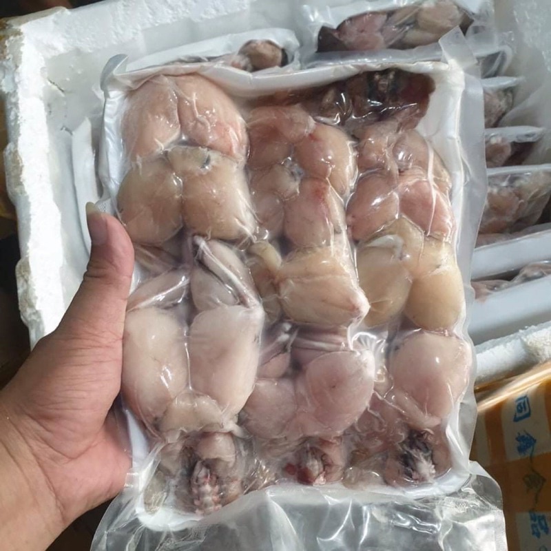 Đùi ếch ngon 500gr💥 GIÁ SỈ 💥thơm ngon chiên nấu