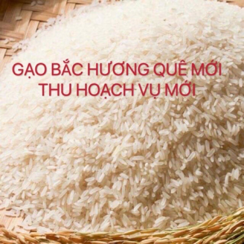 [FREESHIP] GẠO BẮC HƯƠNG QUÊ - VỤ MỚI THU HOẠCH