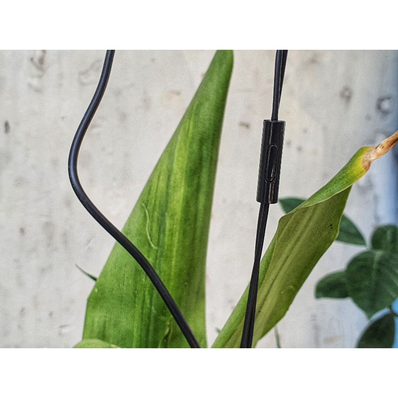 Tai Nghe Xiaomi Lite Zin Âm Thanh Nghe Cực Hay Bảo Hành 12 Tháng