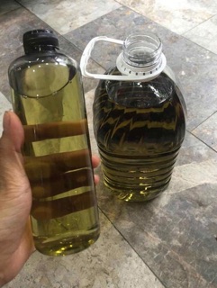 Tinh dầu tràm