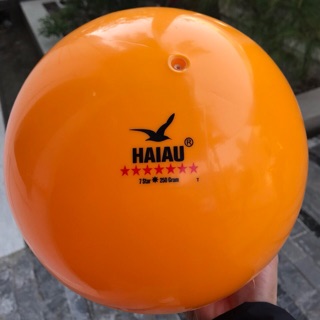 Bóng chuyền hơi thi đấu Hải Âu 7sao