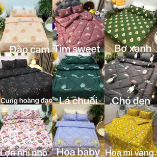 Set ga chun chăn hè bán chạy