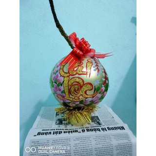 Dừa vàng chưng tết, dừa thư pháp.